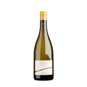 Andrius Sauvignon Alto Adige DOC 2022 0,75l